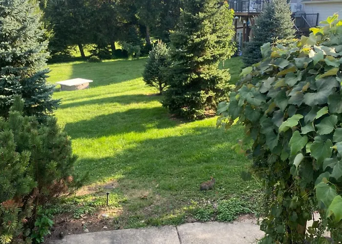 Cozy Near Six Flags And Base Holiday home